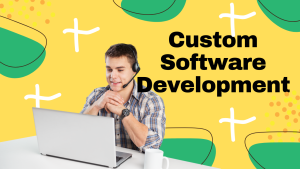 custom software development