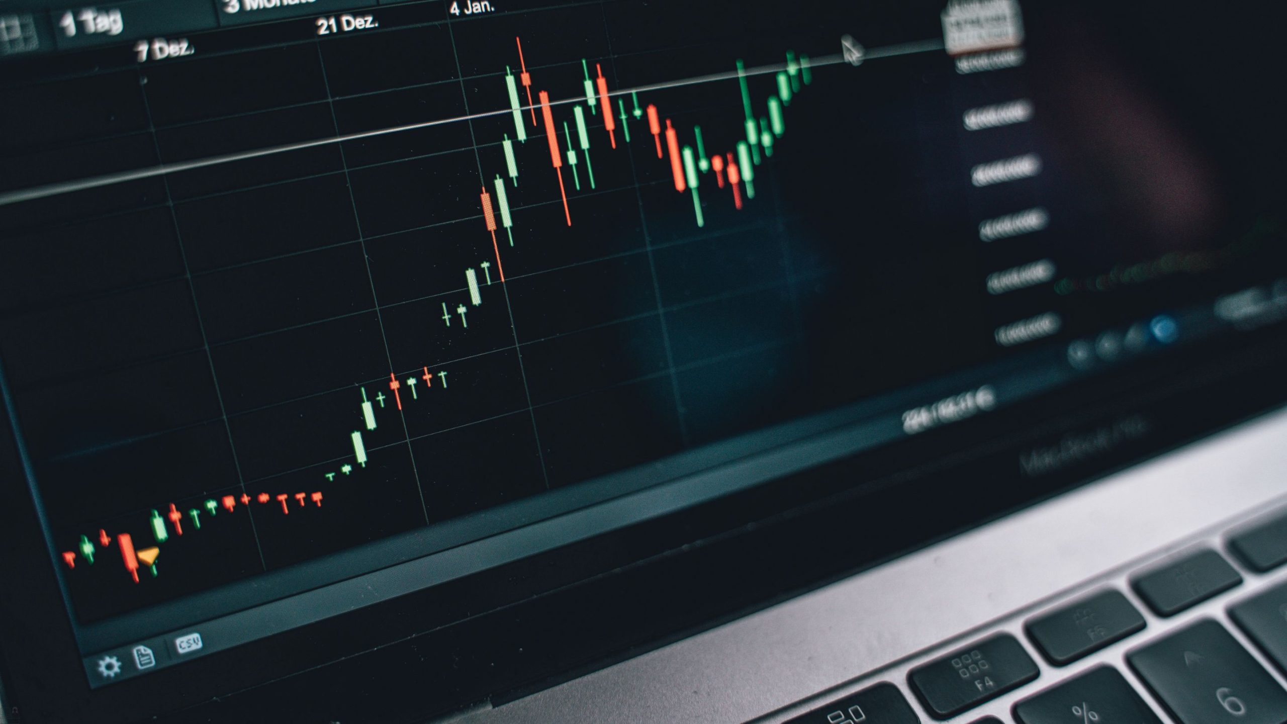 Diving into the World of Cryptocurrency Training