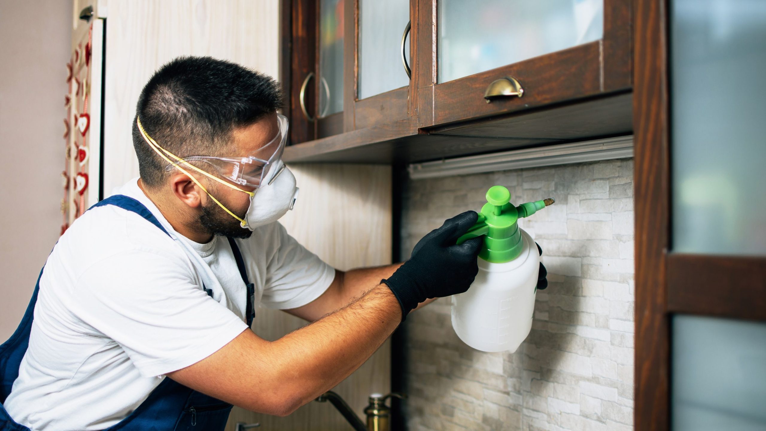 Overview of Managing Pests