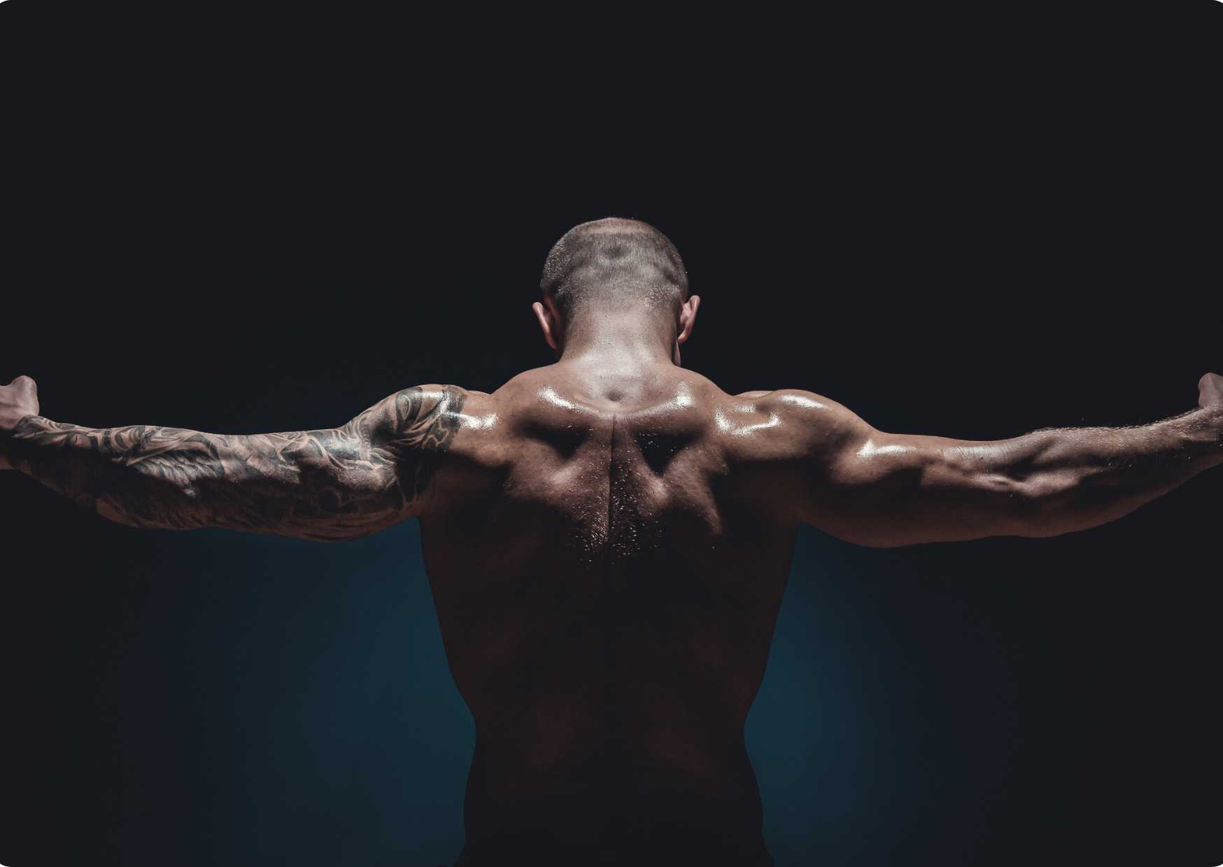 Bodybuilding Basics