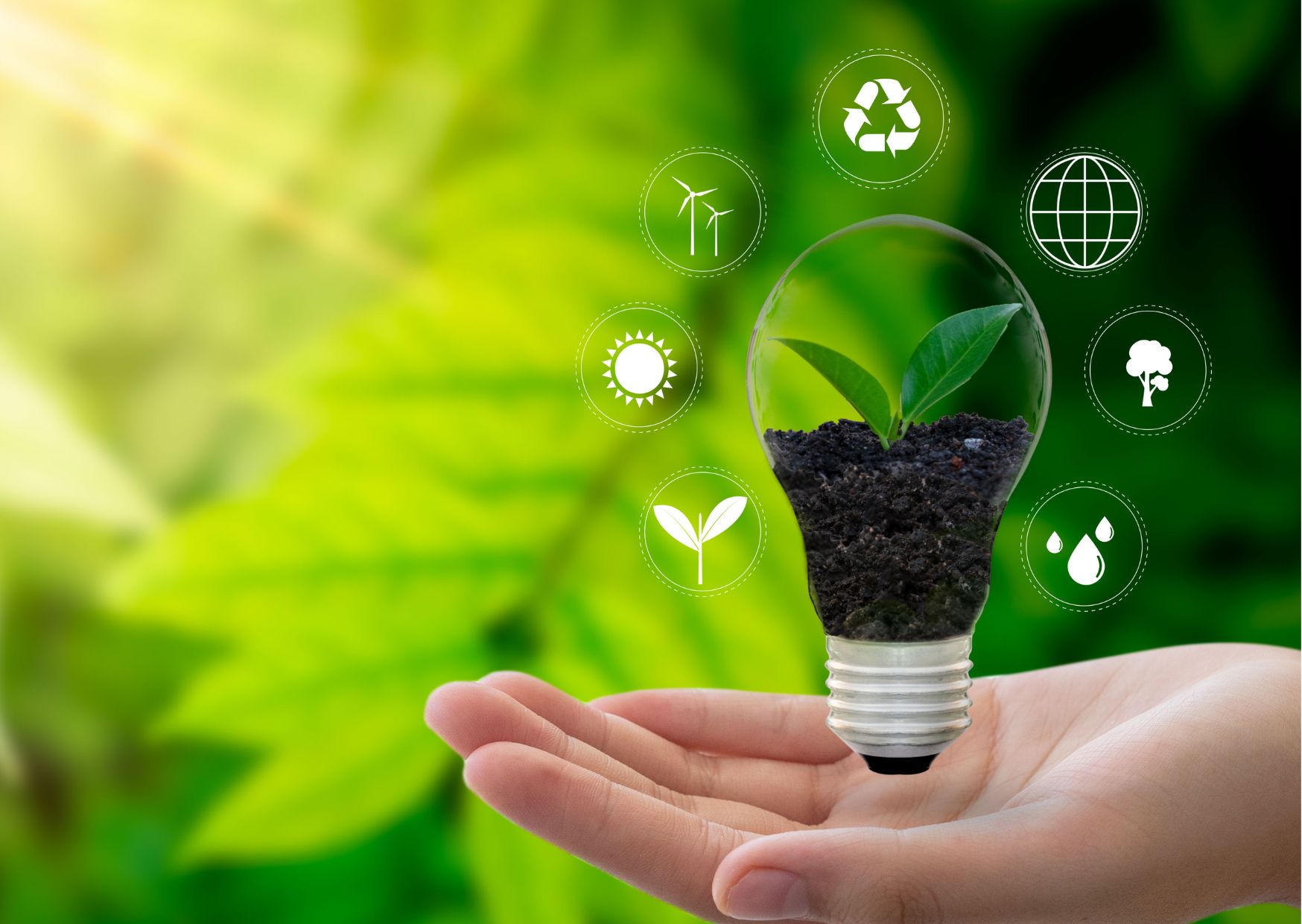 Environmental Management Certificate