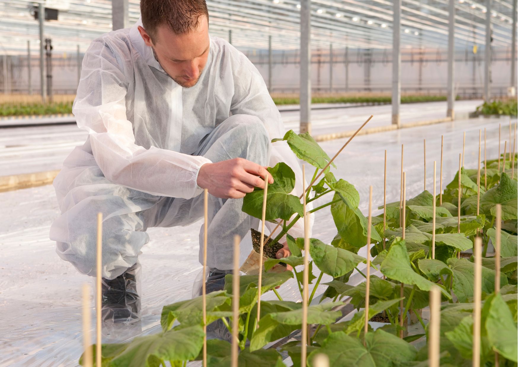 Horticulture Online Course