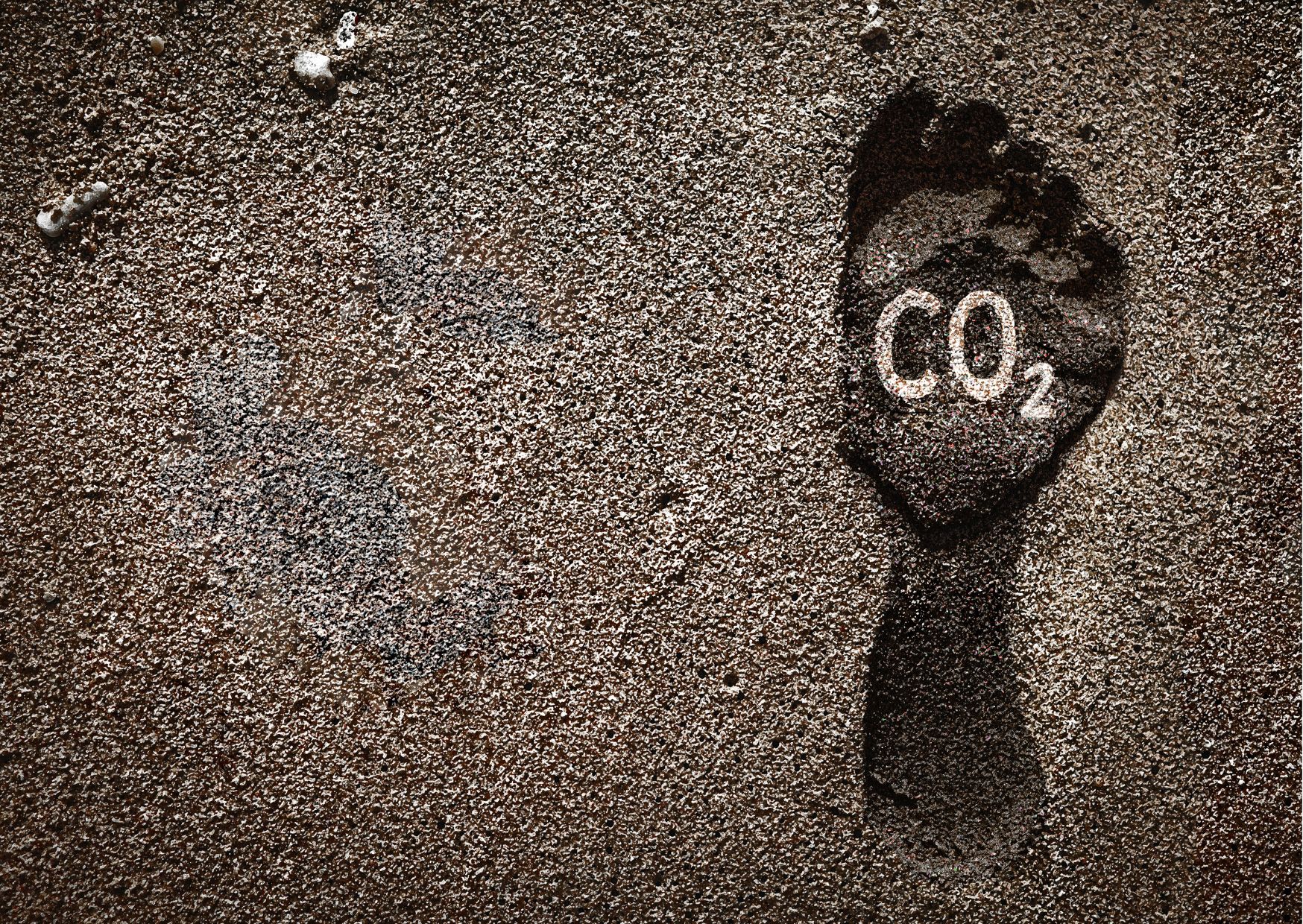 Carbon Footprint Online Course