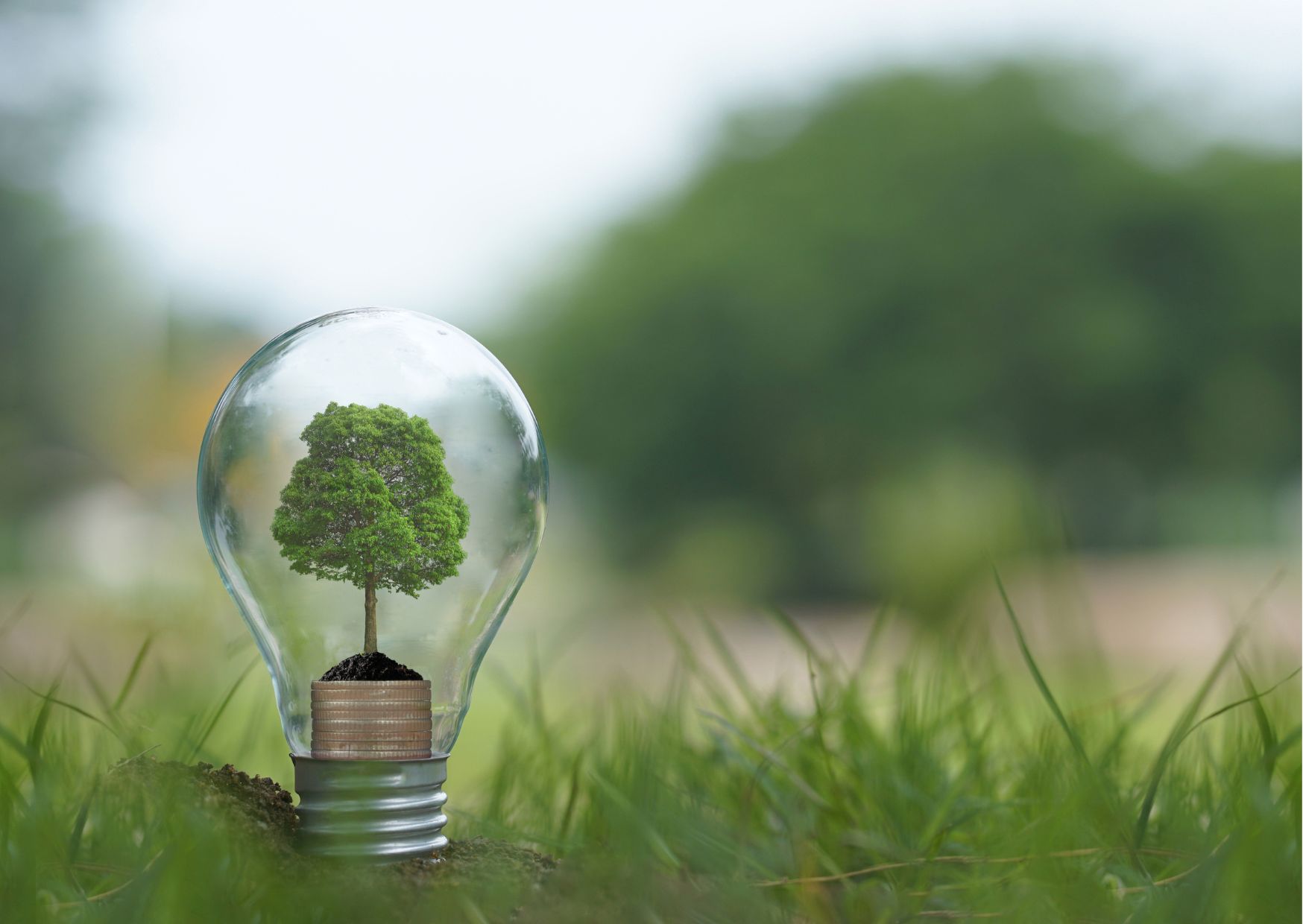 Overview of Renewable Energy