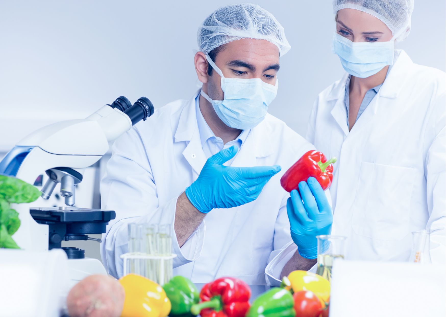 Fundamentals of Food Science
