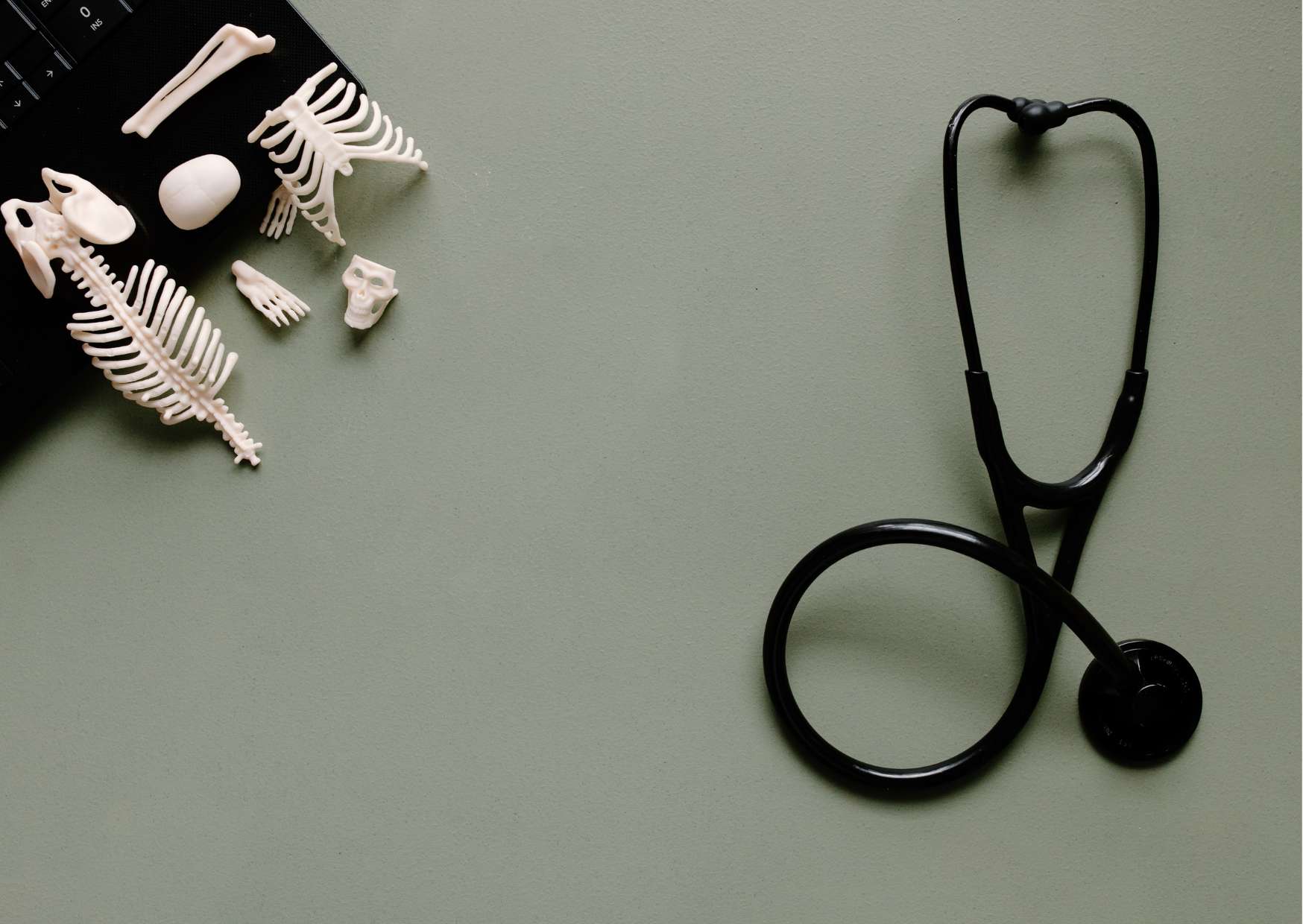 Forensic Nursing Fundamentals