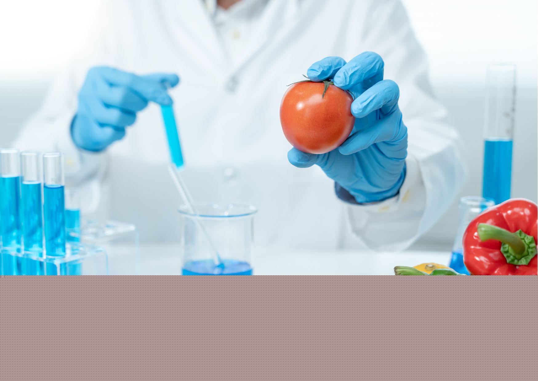 Level 3 Certificate in HACCP