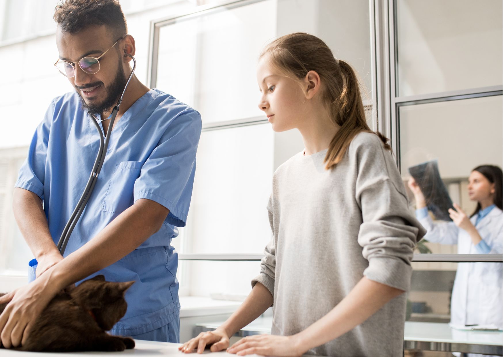 Overview of Veterinary Assistant