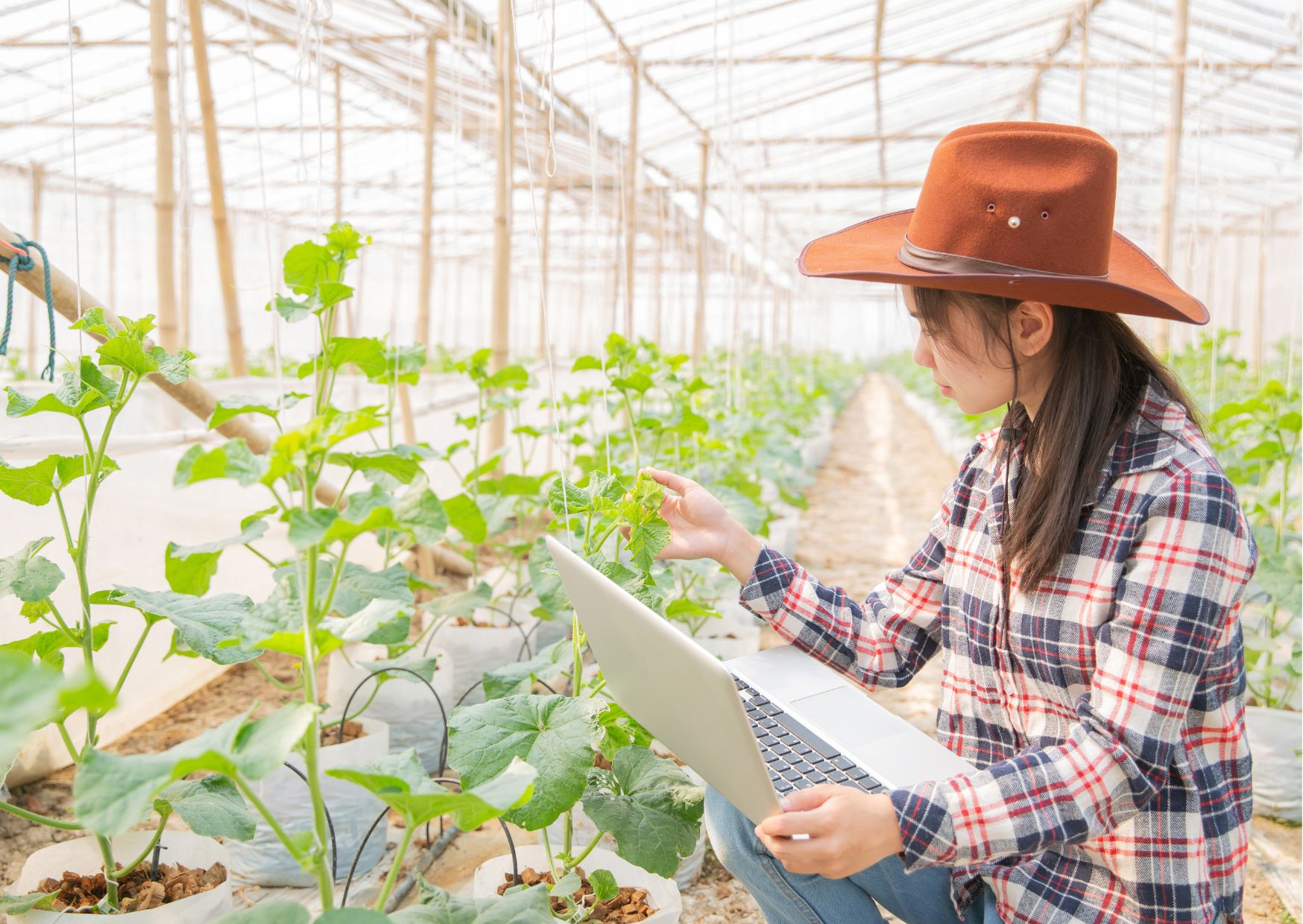 Understanding the Basics of Agricultural Science