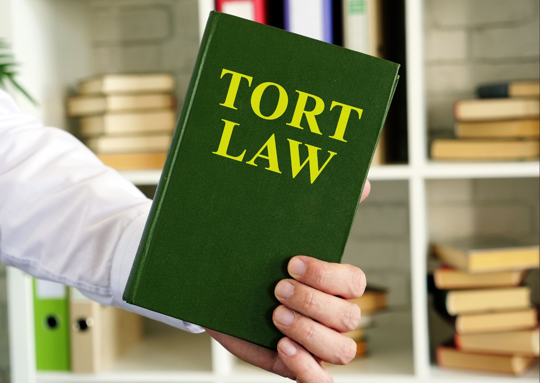 Understanding the Fundamentals of Tort Law
