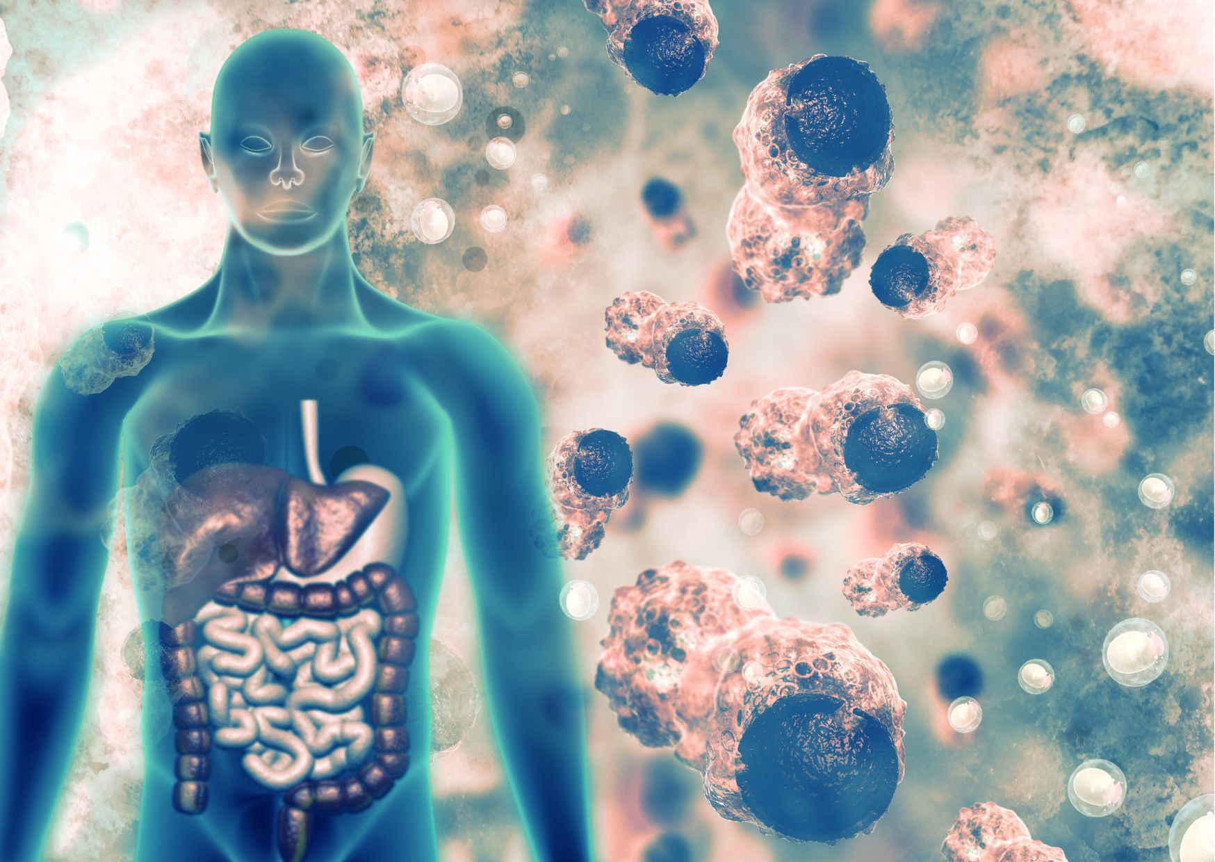 Anatomy and Physiology Fundamentals