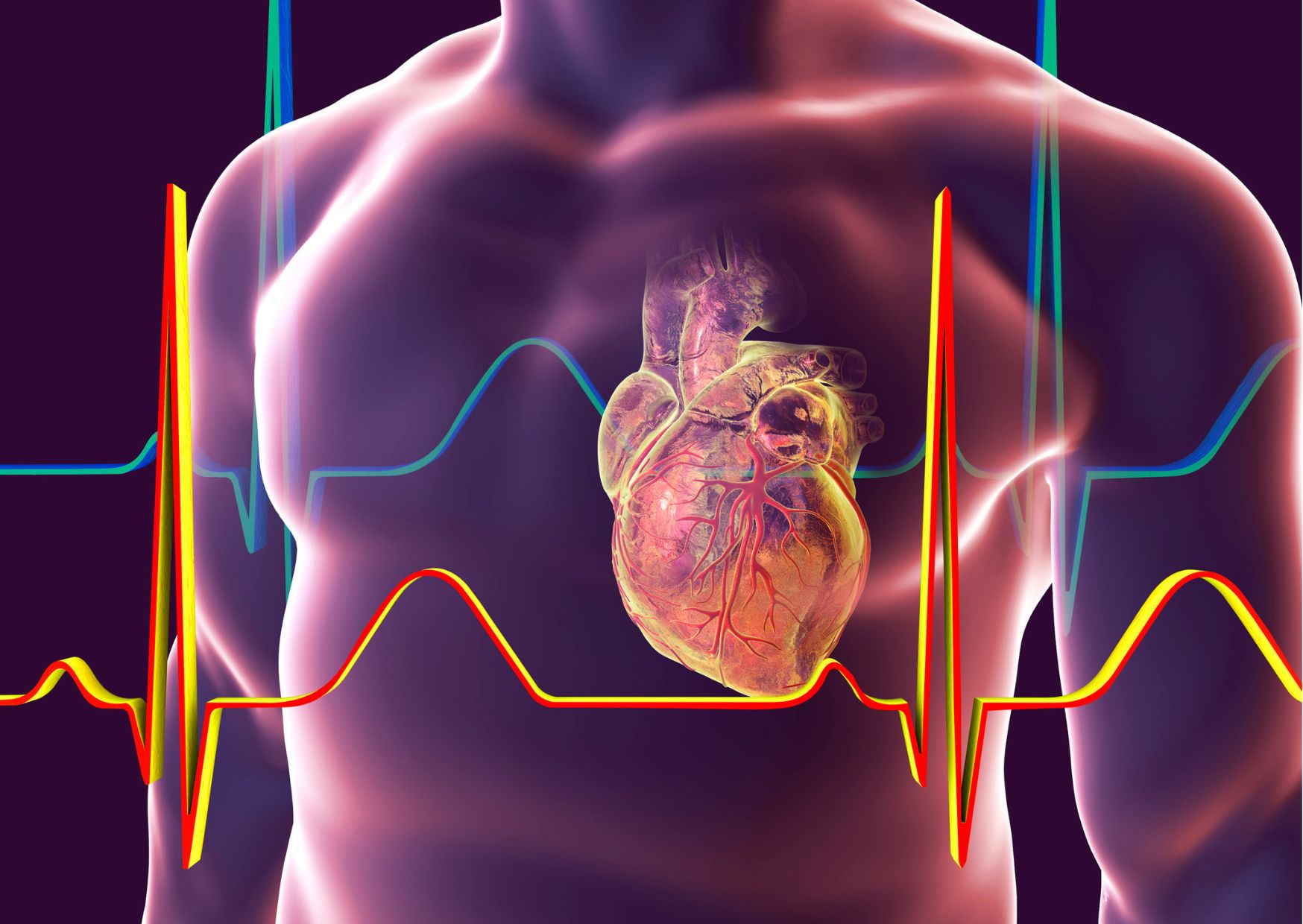Anatomy and Physiology Basics Training