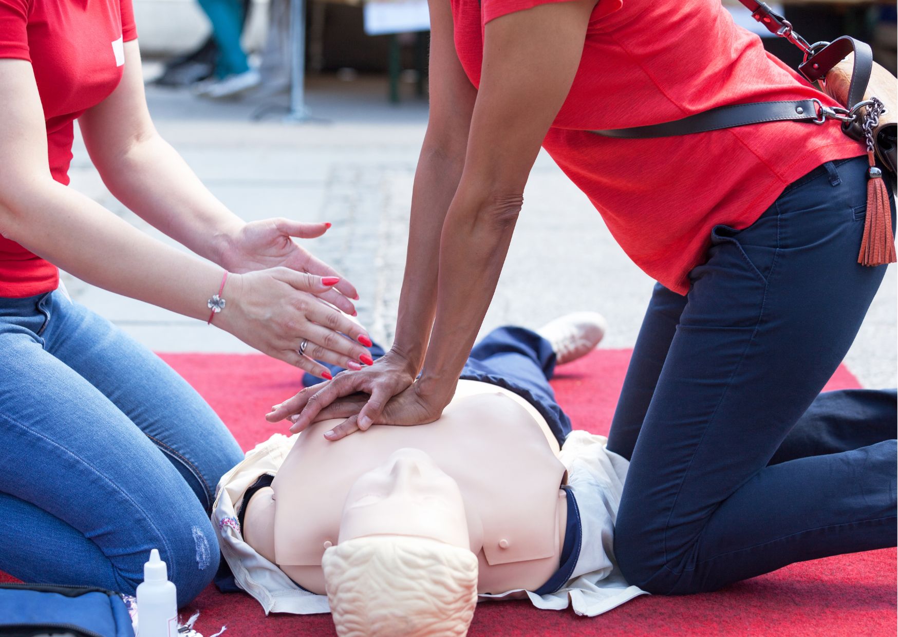 First Aid Training for Pets and Wildlife