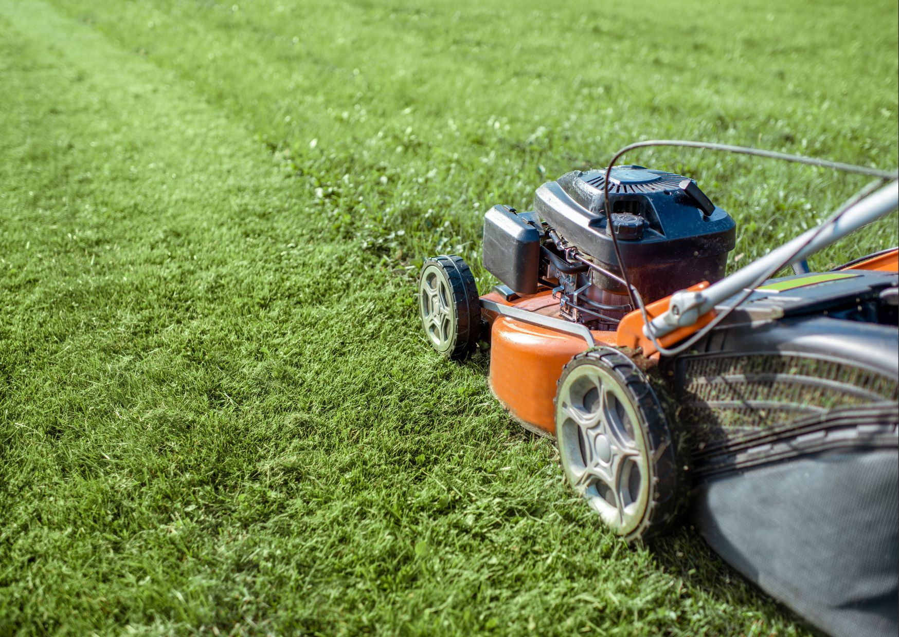 Safety Guidelines for Commercial Mower Operation
