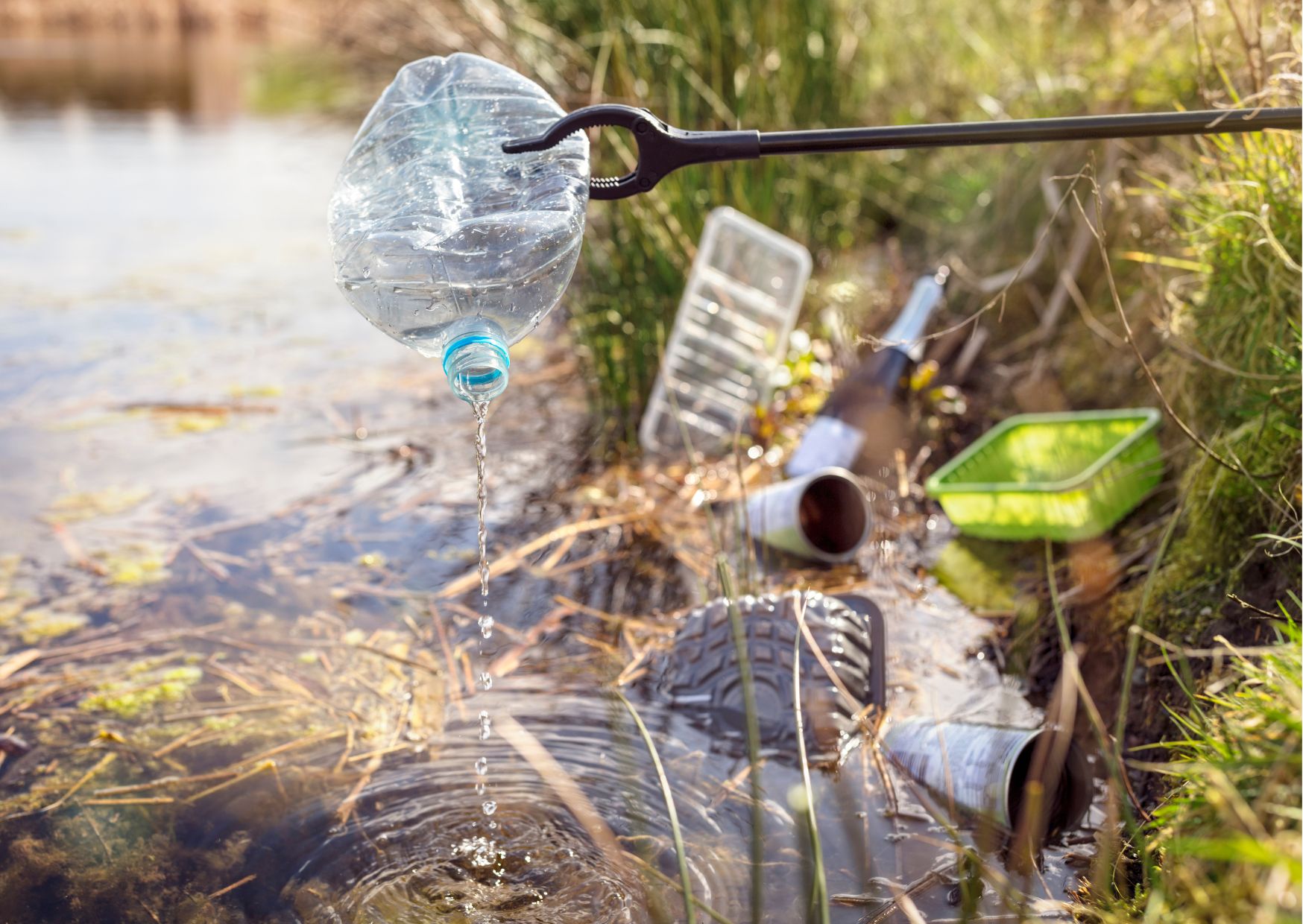 Understanding and Promoting Environmental Conservation