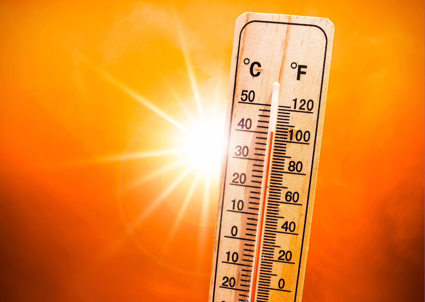 Practical Skills for Working Safely in Warm Conditions