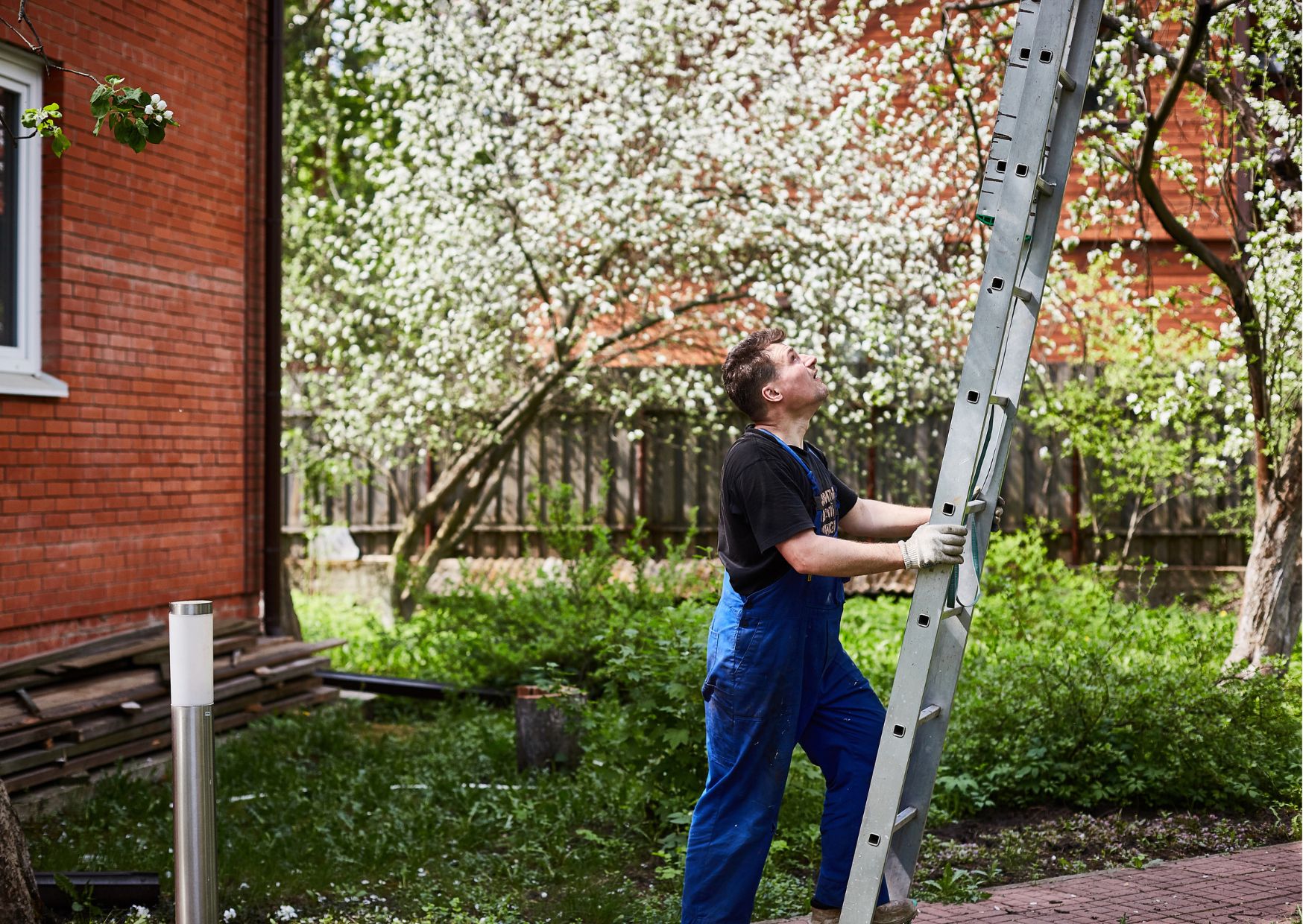 Protecting People and Trees: Online Training for Tree Trimming Safety
