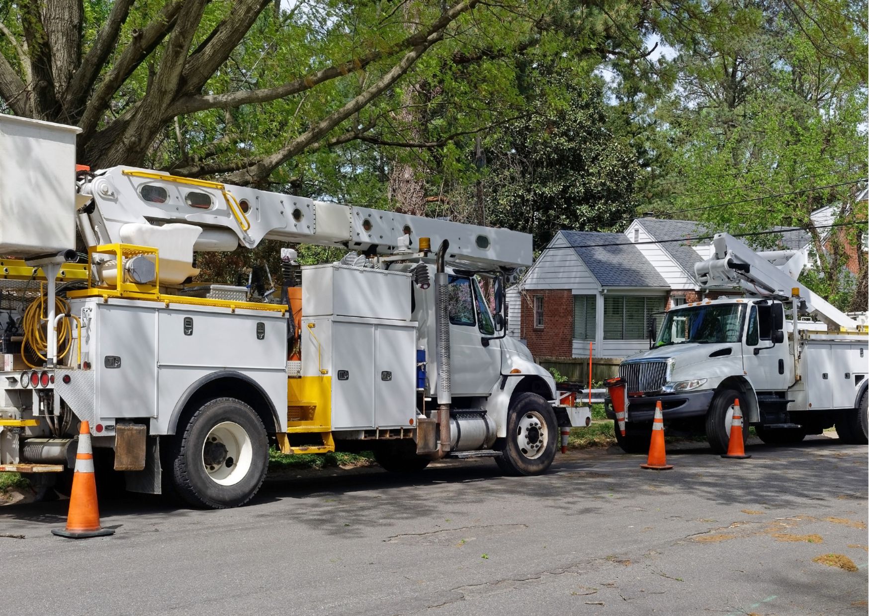 Comprehensive Course on Utility Cart Safety